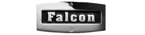 logo_Falcon